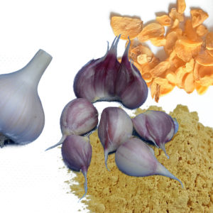 Ail en poudre, ail moulu Ail en poudre, ail moulu