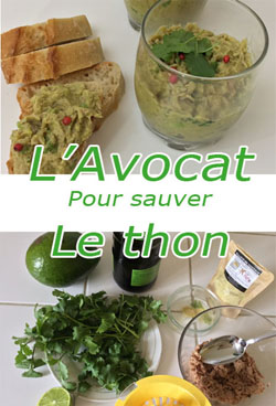 Recette aux Voatsiperifery, poivre sauvage de Madagascar